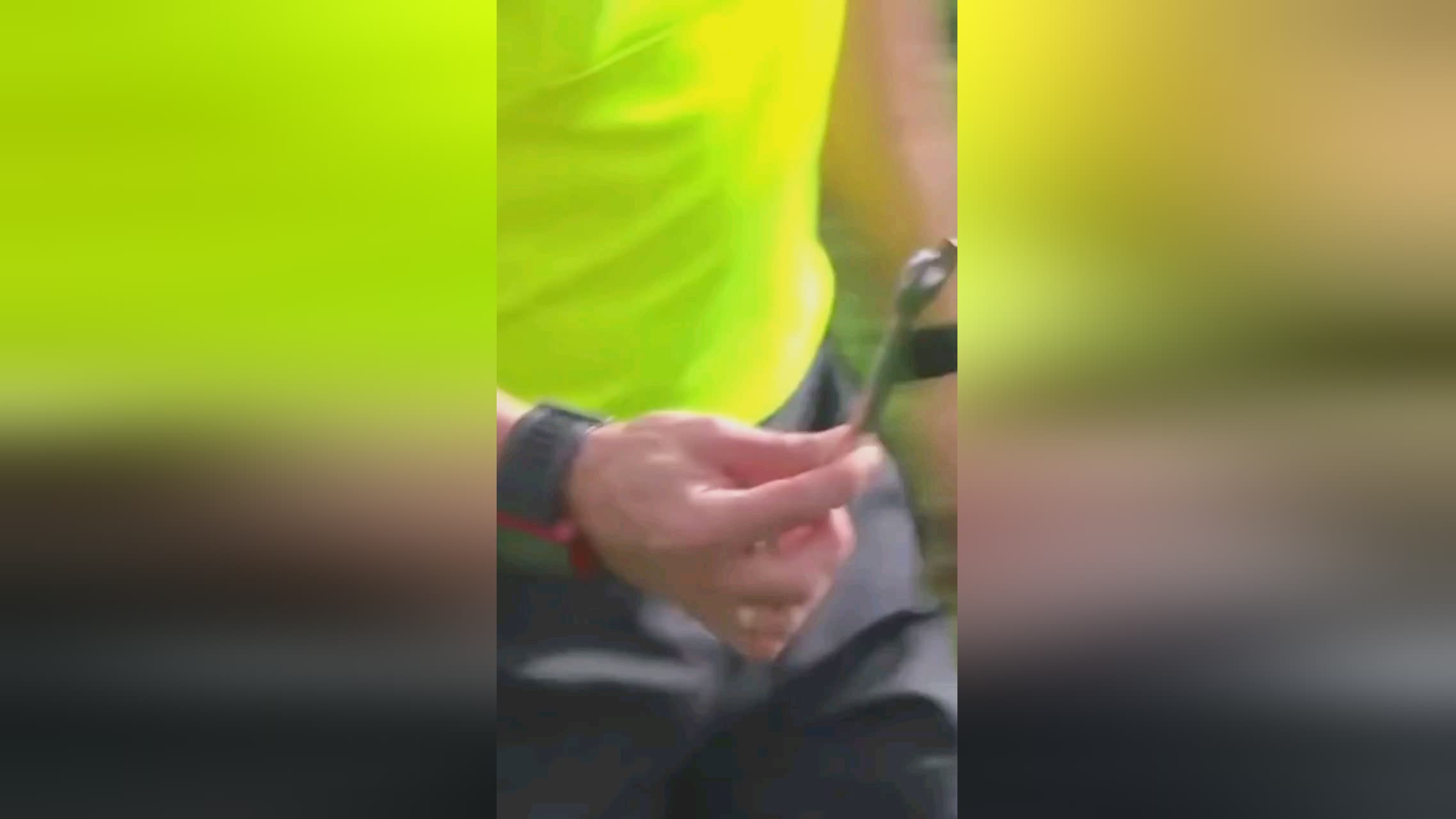 此他非