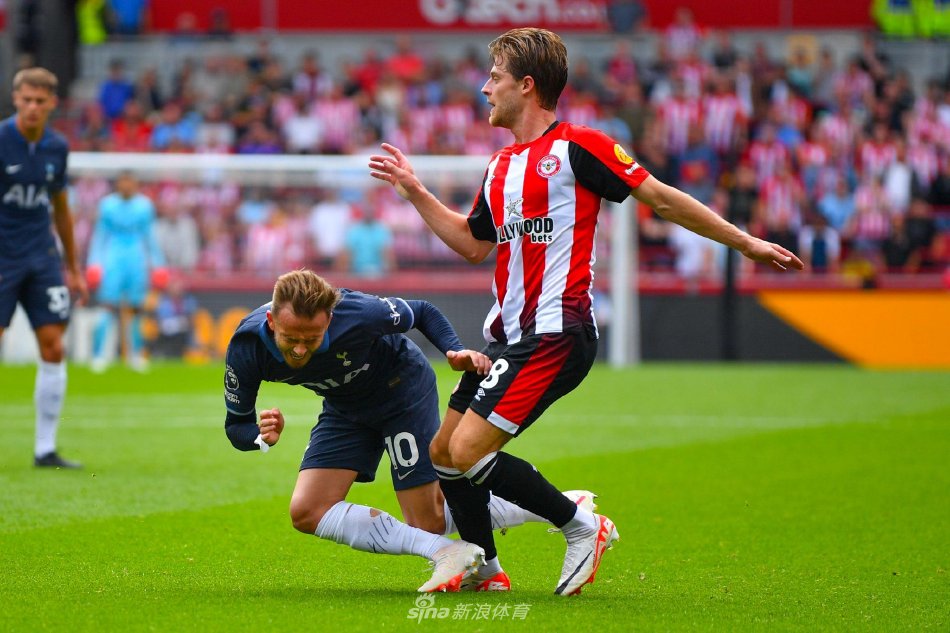 他的成熟表 他的成熟表