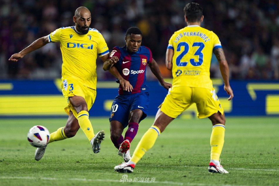 为了一种奢 为了一种奢